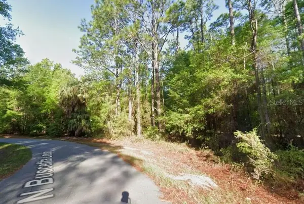 8754 N Buscetta Loop, CRYSTAL RIVER, FL 34428