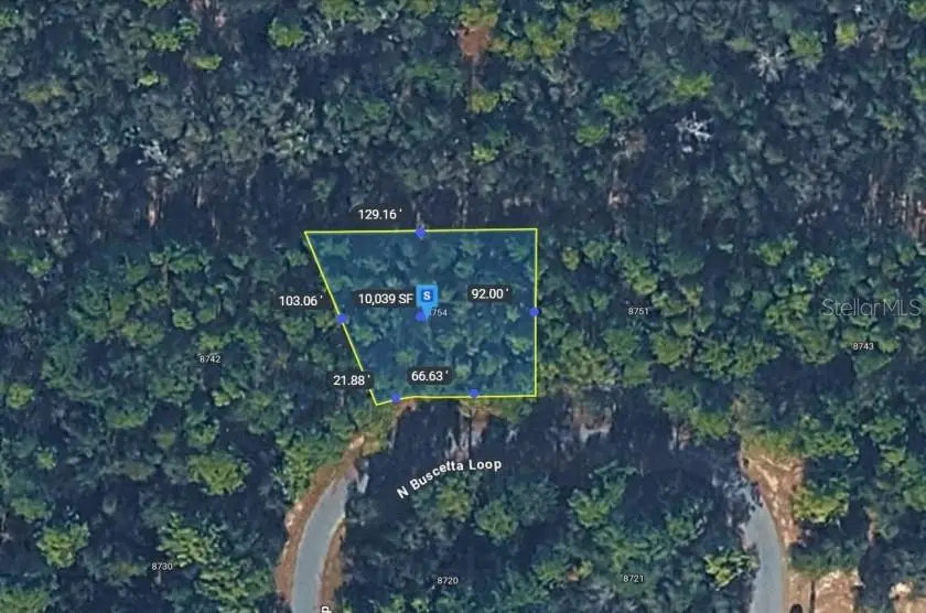 8754 N Buscetta Loop, Crystal River, FL 34428 - #2
