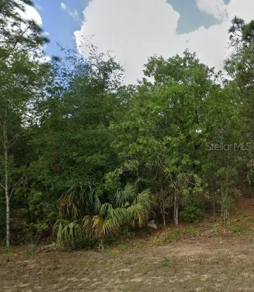 818 N Kensington Avenue, Lecanto, FL 34461 - #3