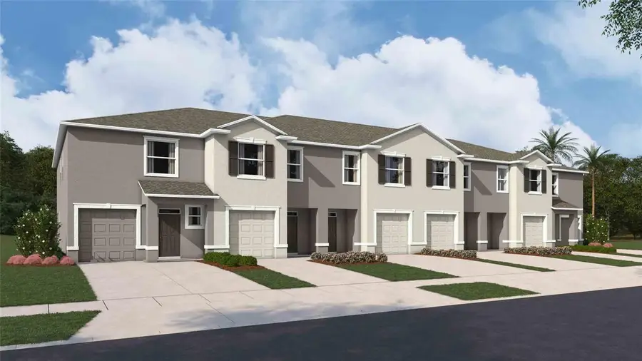 31154 Paper Birch Street, Wesley Chapel, FL 33545 - #3