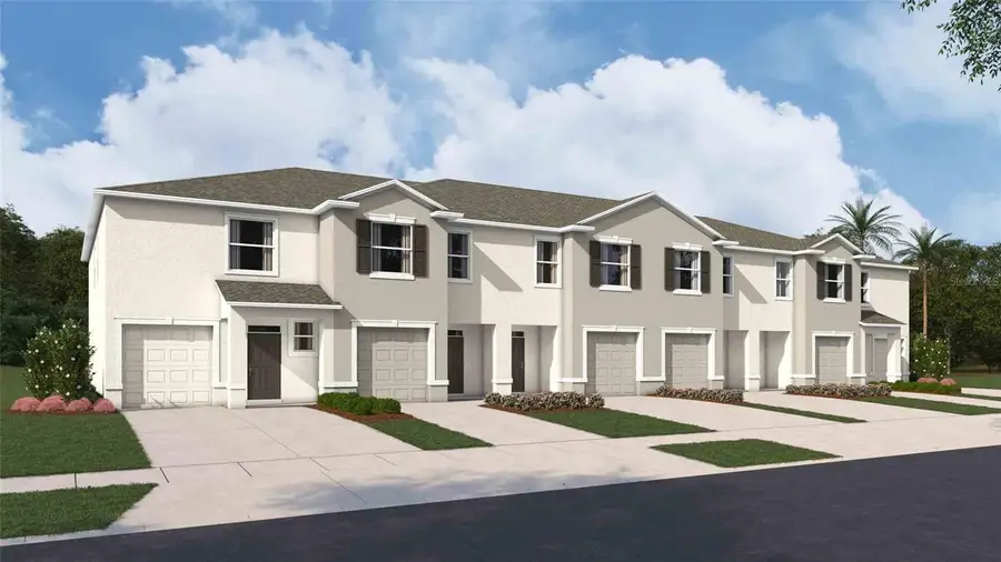 31142 Paper Birch Street, Wesley Chapel, FL 33545 - #2