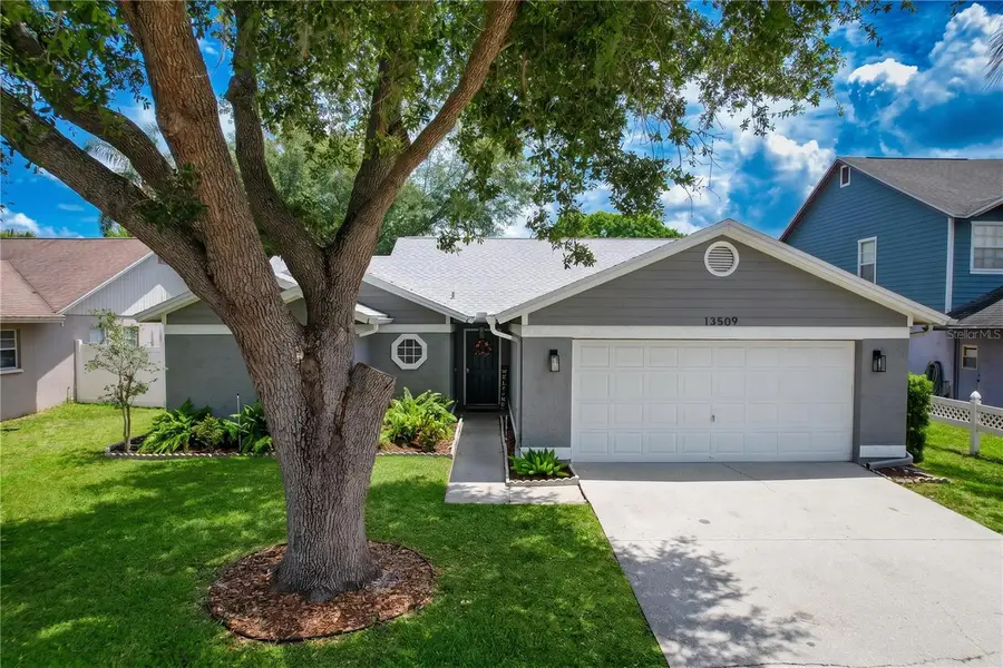 13509 Fawn Ridge Boulevard, Tampa, FL 33626 - #3