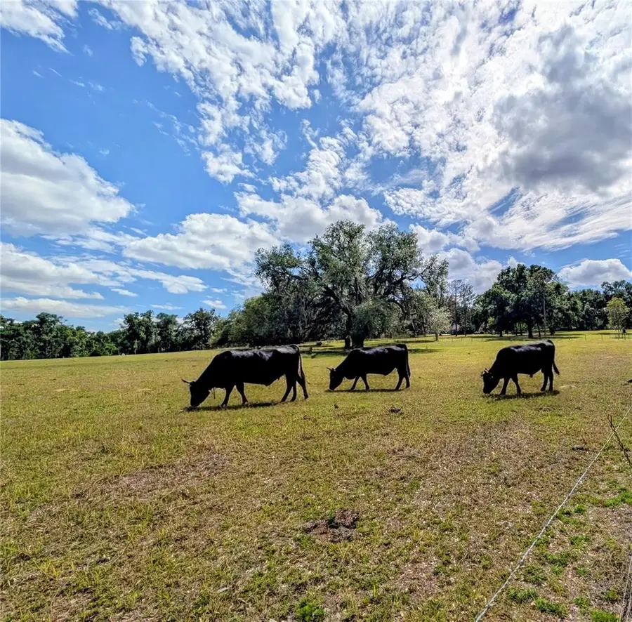 0 Sweetwater Road, Dade City, FL 33523 - #2