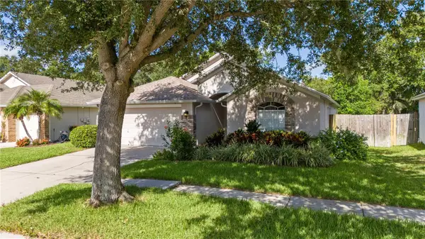 7105 Bucks Ford Drive, RIVERVIEW, FL 33578