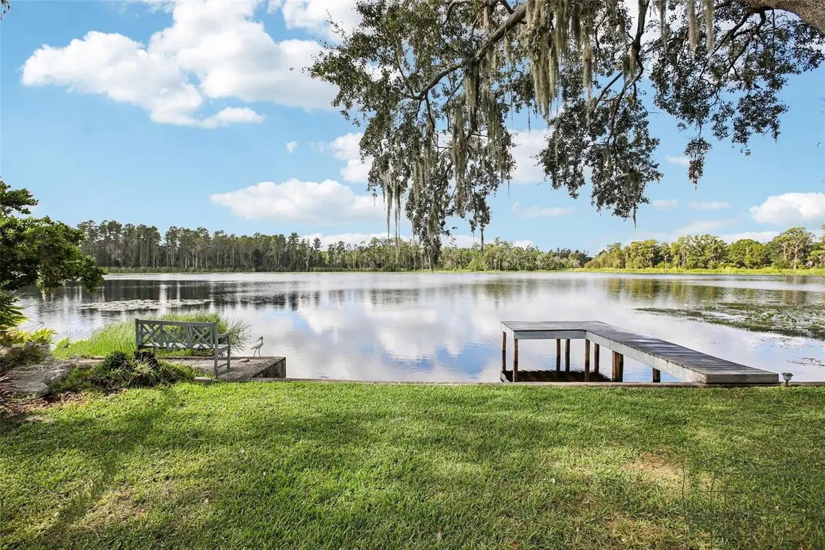 19254 Blount Road, Lutz, FL 33558 - #1