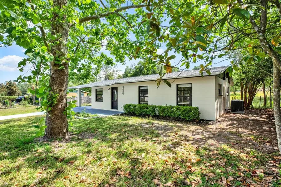 17234 Adela Street, Dade City, FL 33523 - #2