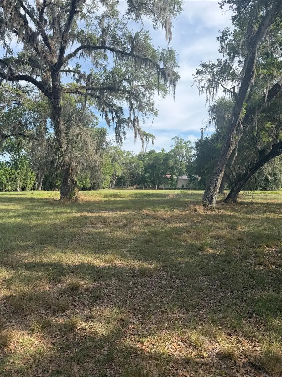 000 Palomino Lakes Dr, Dade City, FL 33523 - #1