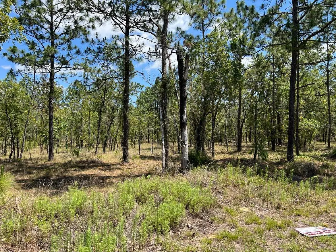 NW Amberjack, Lot #33, Dunnellon, FL 34431 - #1