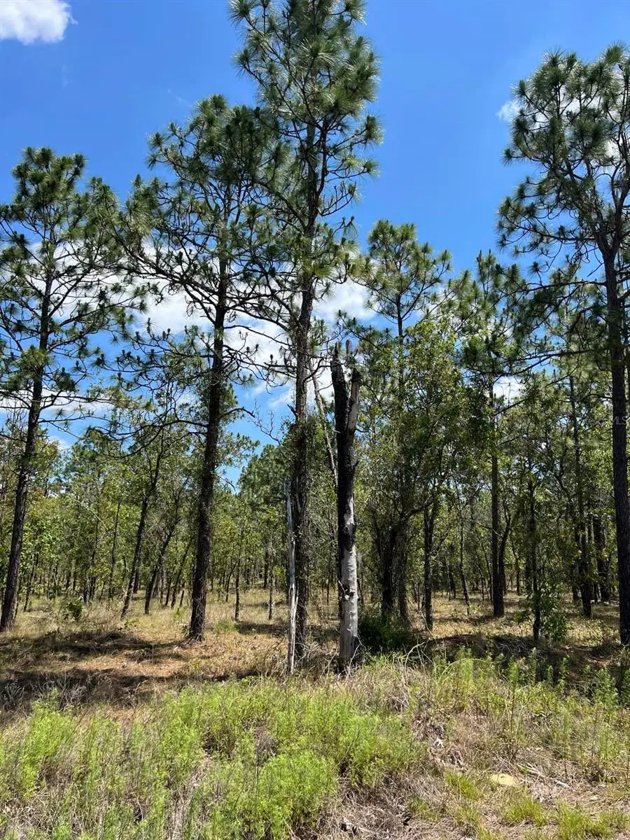 NW Amberjack, Lot #33, Dunnellon, FL 34431 - #2