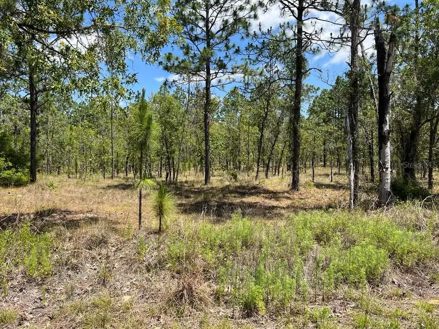 NW Amberjack, Lot #33, Dunnellon, FL 34431 - #3