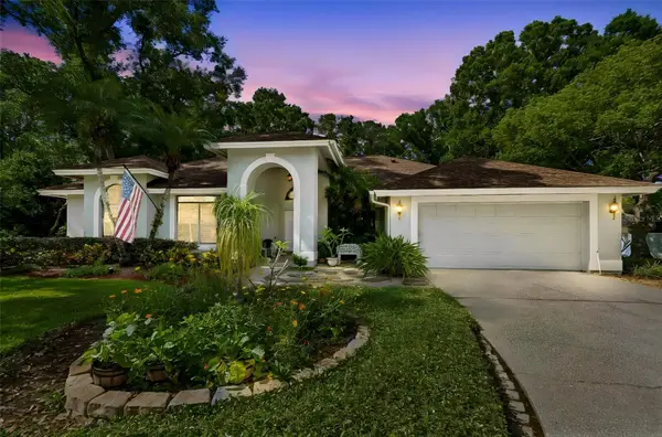 1661 Woodridge Court, LUTZ, FL 33559