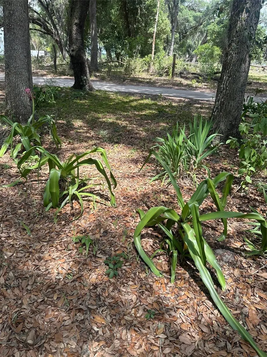 9068 SE 12th Drive, Webster, FL 33597 - #2