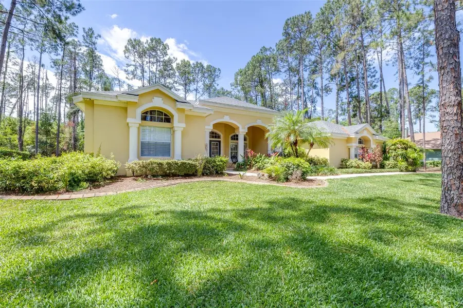 313 Pine Bluff Drive, Lutz, FL 33549 - #2