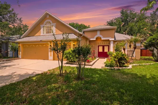 10209 Shadow Branch Drive, TAMPA, FL 33647