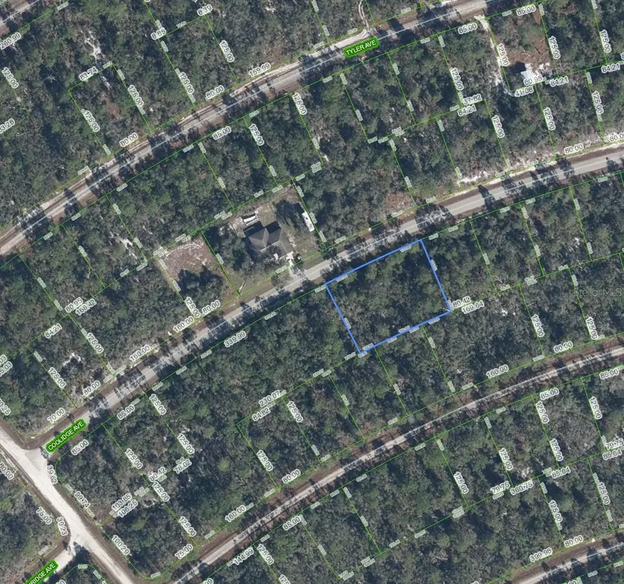 3122 Coolidge Avenue, Lake Placid, FL 33852 - #2
