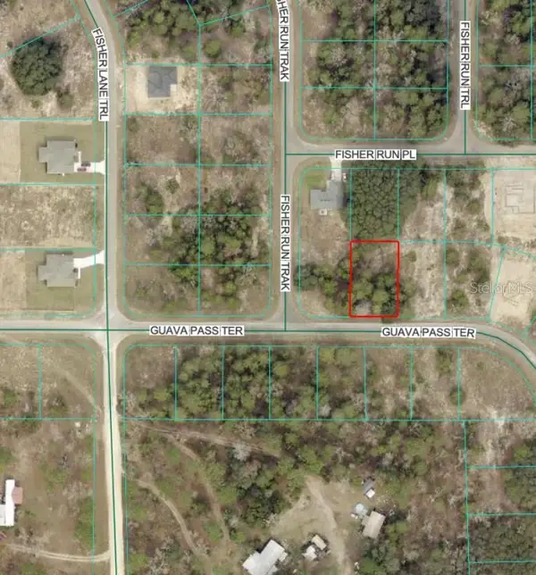 Guava Pass Terrace, OCKLAWAHA, FL 32179