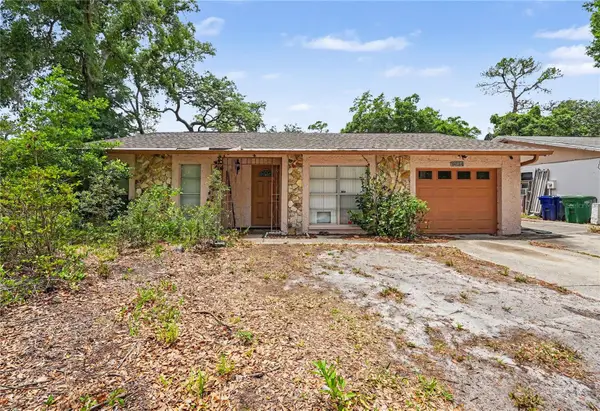 9624 Hidden Oaks Circle, TAMPA, FL 33612