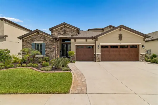 14622 Red Castle Avenue, LITHIA, FL 33547