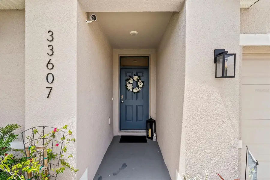 33607 Hamilton Hill Lane, Wesley Chapel, FL 33545 - #3