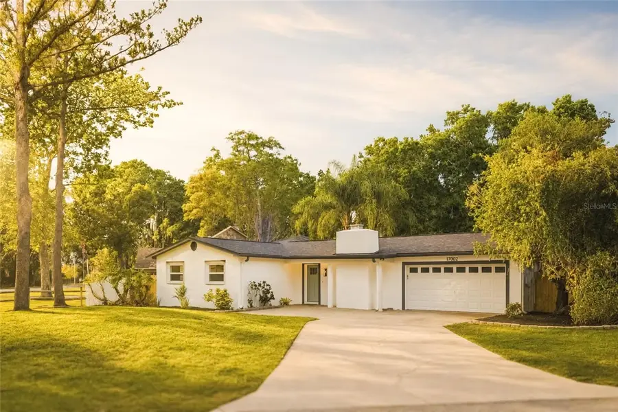 17002 Paula Lane, Lutz, FL 33558 - #2