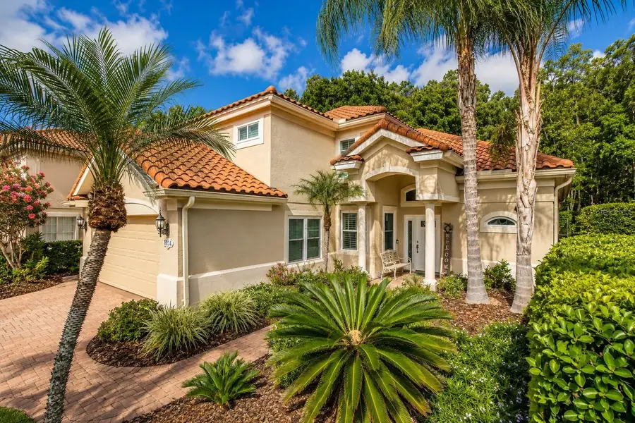 18814 Place Antibes, Lutz, FL 33558 - #3