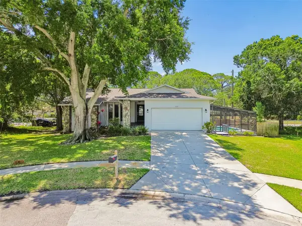 1421 Ironworks Lane, TARPON SPRINGS, FL 34689
