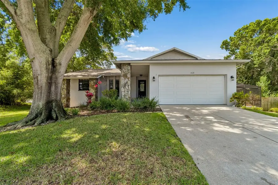 1421 Ironworks Lane, Tarpon Springs, FL 34689 - #3