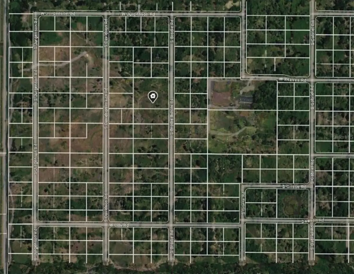 1124 S Brodie Road, Avon Park, FL 33825 - #1