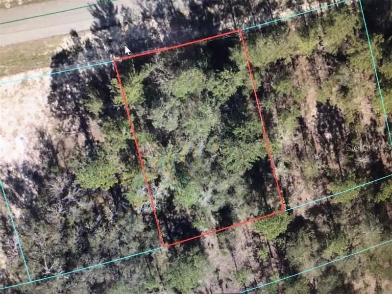 Sw 153 Place Road, Ocala, FL 34473 - #1
