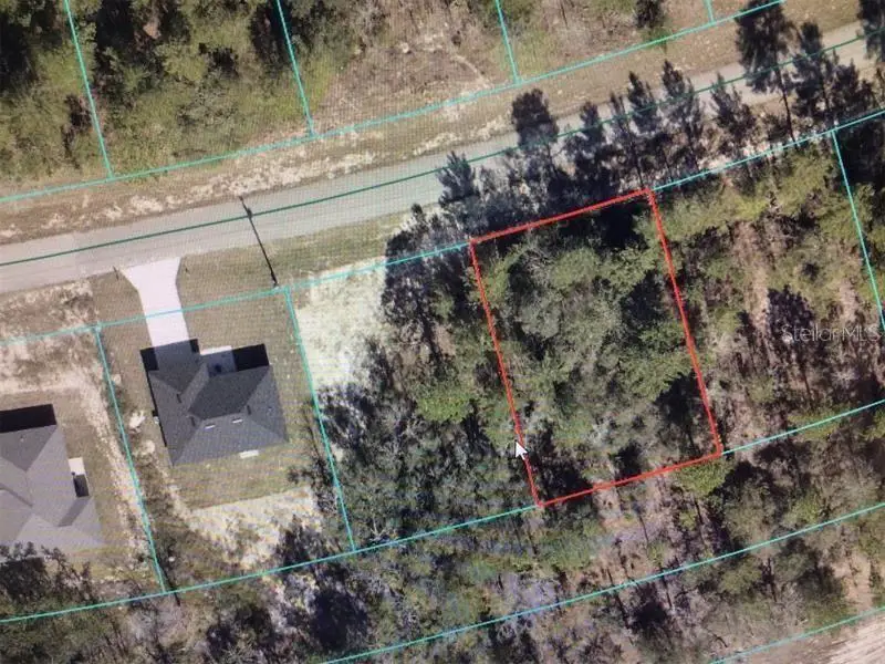 Sw 153 Place Road, Ocala, FL 34473 - #2