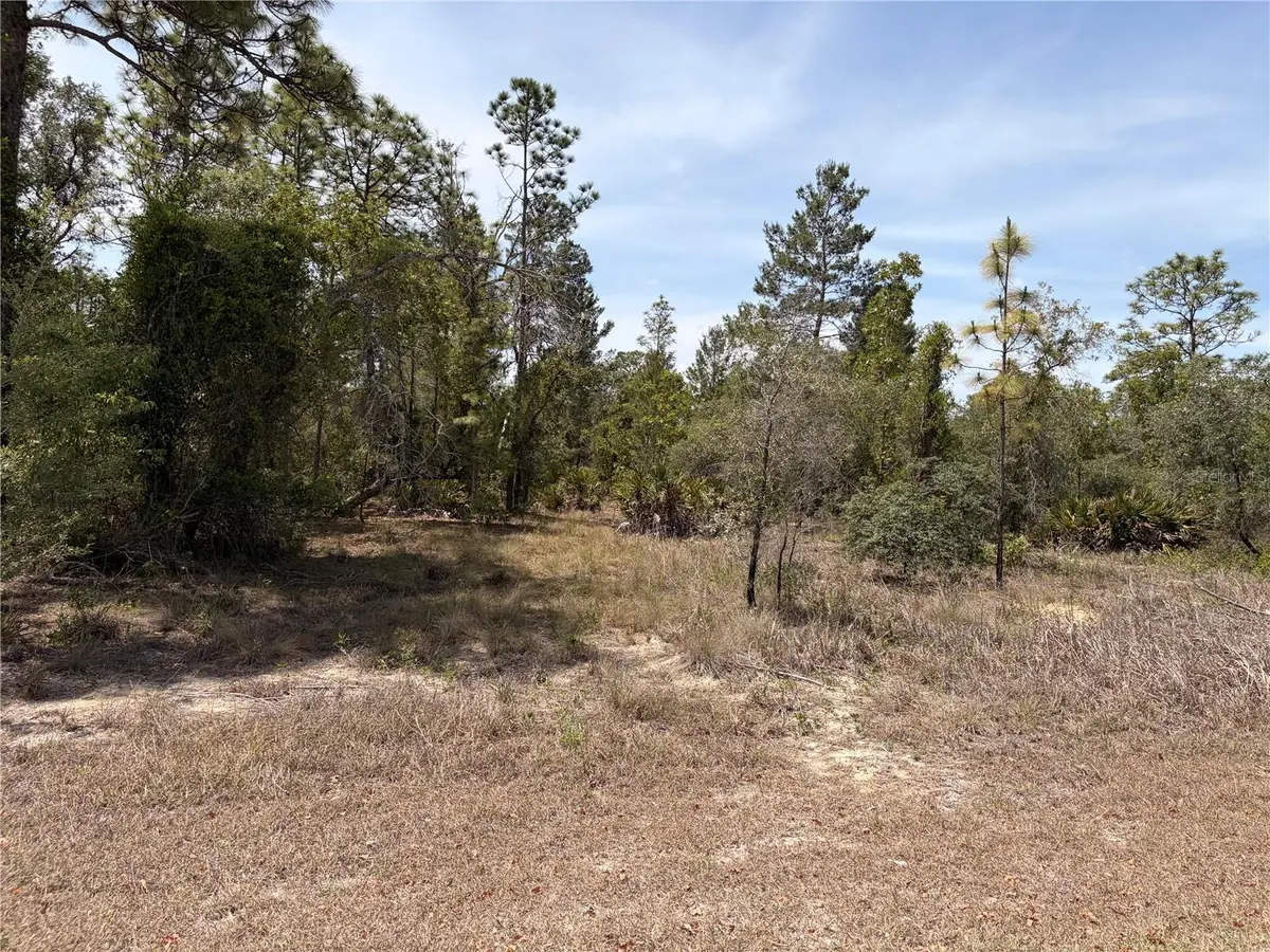 13230 Taft Street, Brooksville, FL 34613 - #1