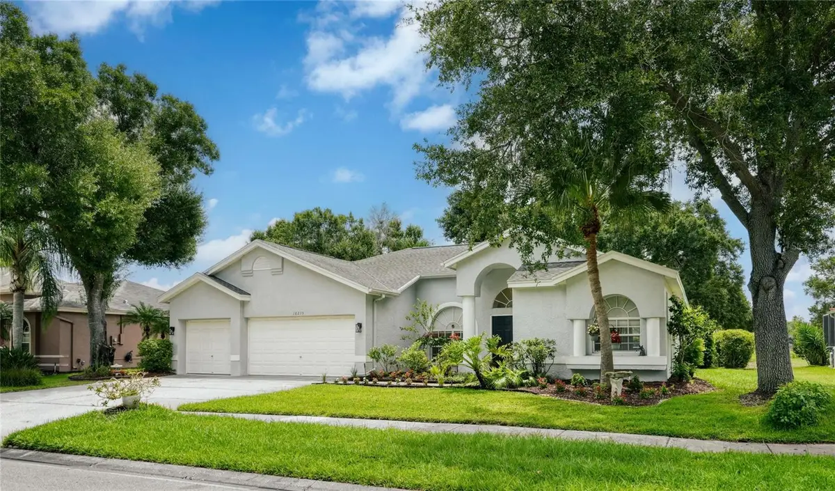 16215 Hoylake Drive, Odessa, FL 33556 - #1