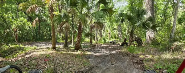 0 Paul Buchnman Highway, ZEPHYRHILLS, FL 33540