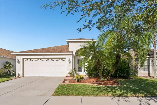 13908 Chalk Hill Place, RIVERVIEW, FL 33579