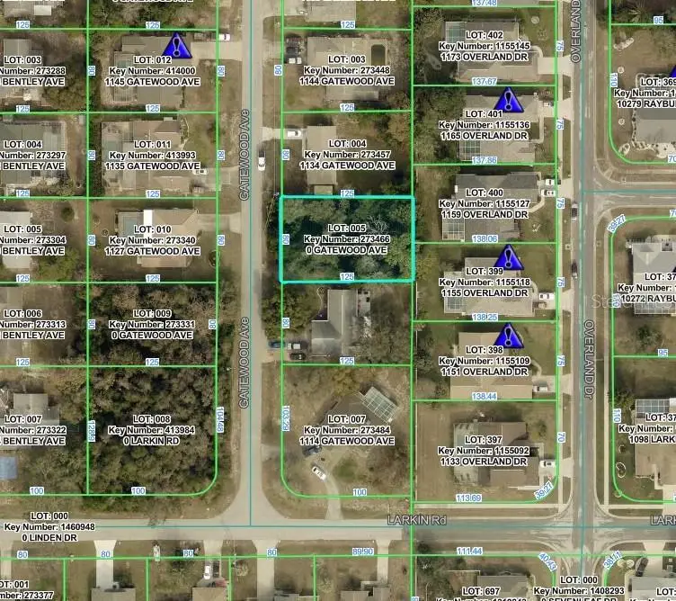 Gatewood Avenue, Spring Hill, FL 34608 - #3