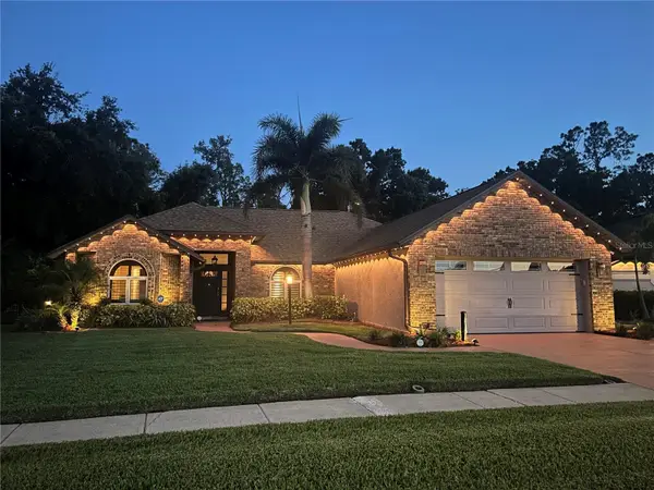 1015 Ventana Drive, RUSKIN, FL 33573