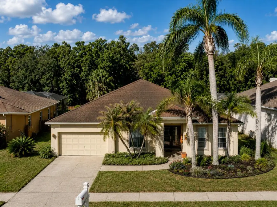 29520 Forest Glen Drive, Wesley Chapel, FL 33543 - #2