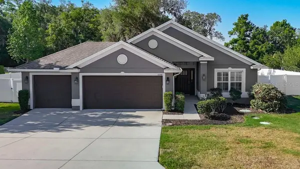 12244 Loopback Drive, SAN ANTONIO, FL 33576