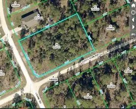 16200 Crane Road, Weeki Wachee, FL 34614 - #1