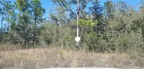16200 Crane Road, Weeki Wachee, FL 34614 - #2