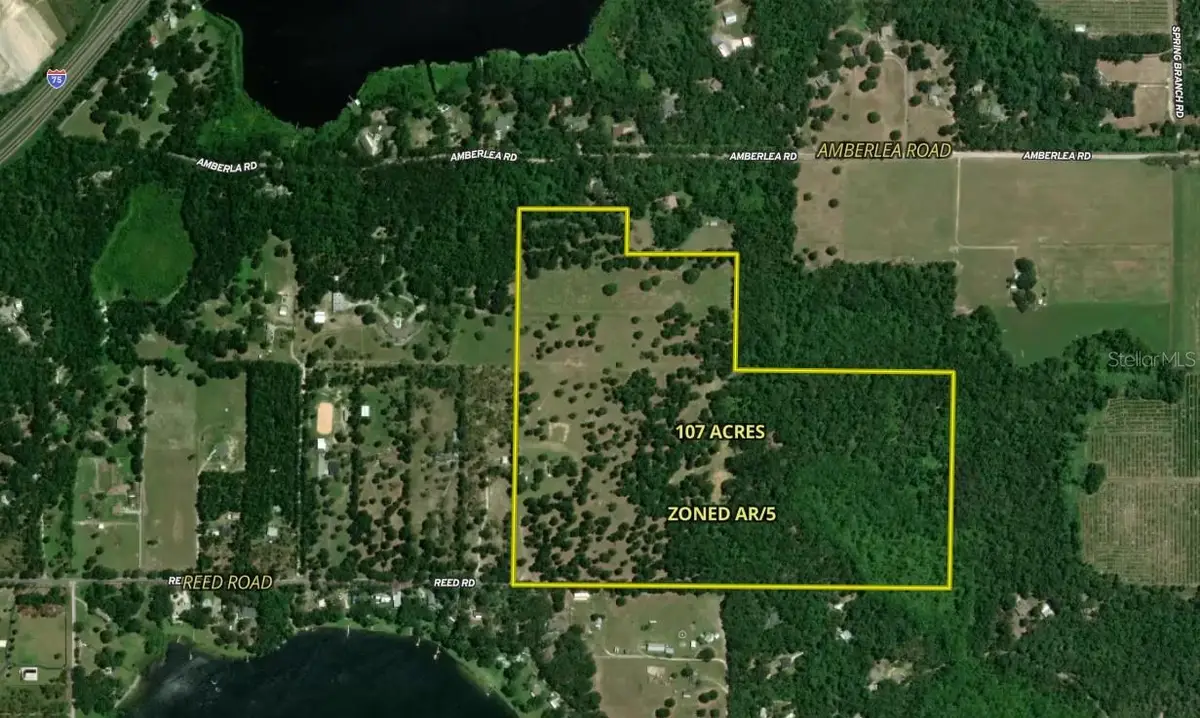 31501 Reed Road, Dade City, FL 33523 - #1