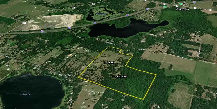 31501 Reed Road, Dade City, FL 33523 - #2