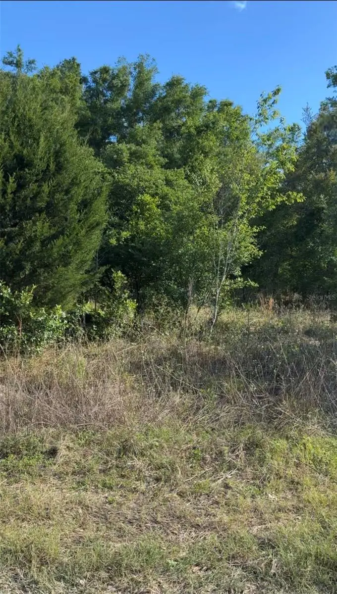 2405 Wilson St Street, Inverness, FL 34453 - #2
