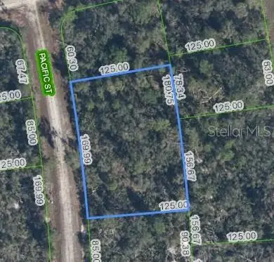 719 Pacific Street, LAKE PLACID, FL 33852