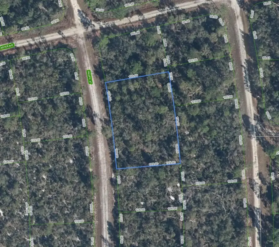 719 Pacific Street, Lake Placid, FL 33852 - #2