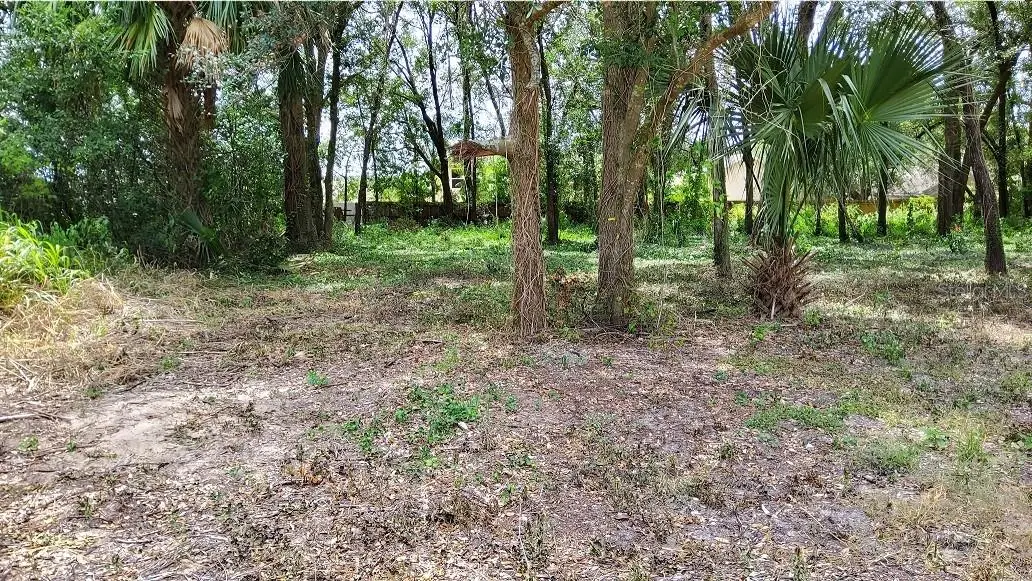 25050 Algonquin Avenue, Mount Plymouth, FL 32776 - #1