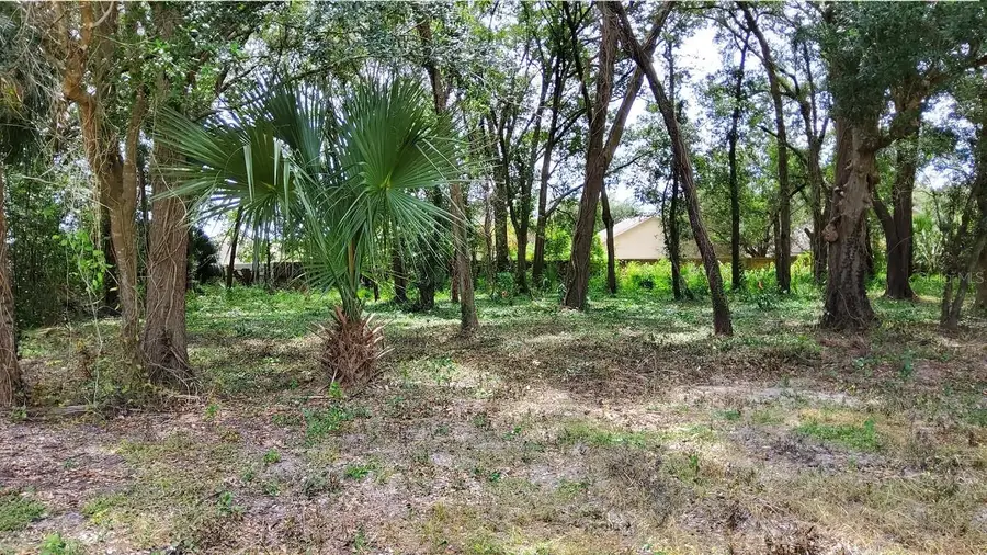 25050 Algonquin Avenue, Mount Plymouth, FL 32776 - #2