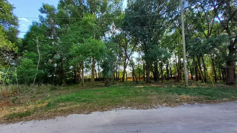 25050 Algonquin Avenue, Mount Plymouth, FL 32776 - #3
