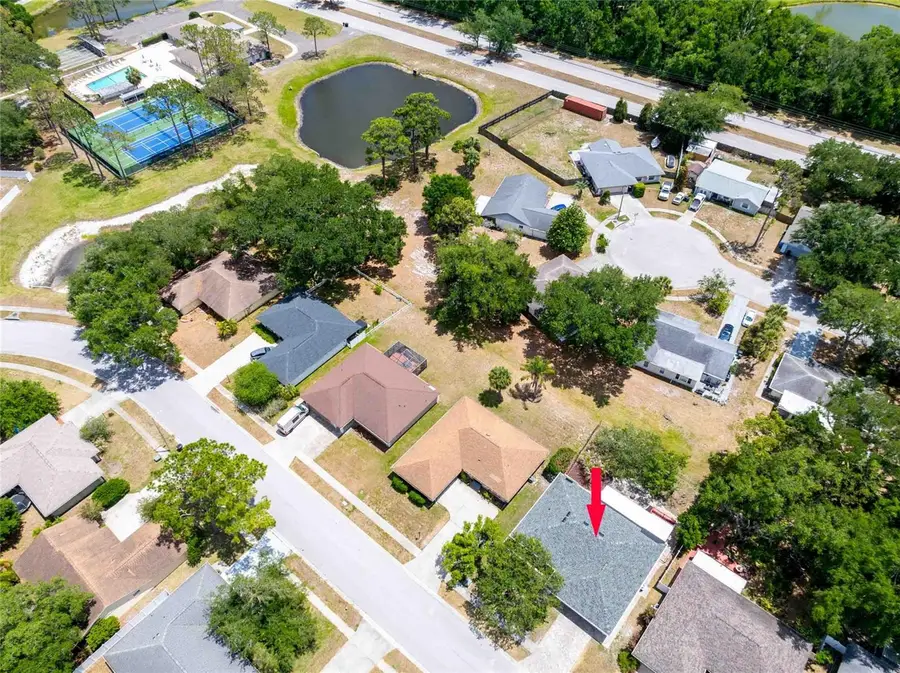 28310 Tanglewood Drive, Wesley Chapel, FL 33543 - #2