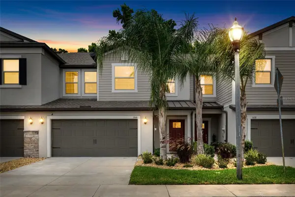 1646 Roseville Street, LUTZ, FL 33549